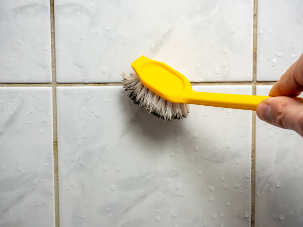 Best Mold Removal Specialists  in Weleetka, OK