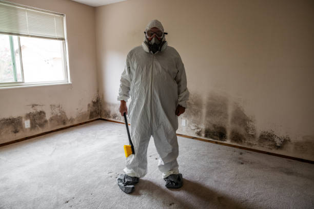 Best Professional Mold Removal  in Weleetka, OK
